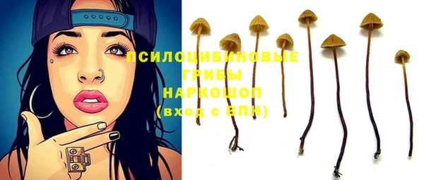 гидропоника Бугульма