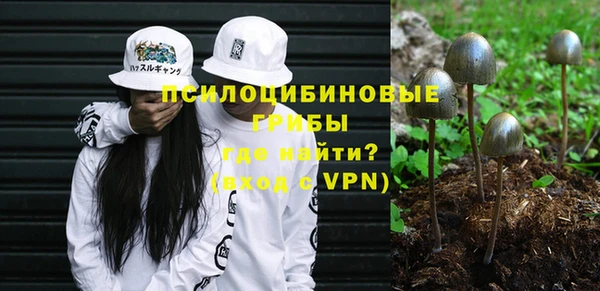 ALPHA-PVP Бородино
