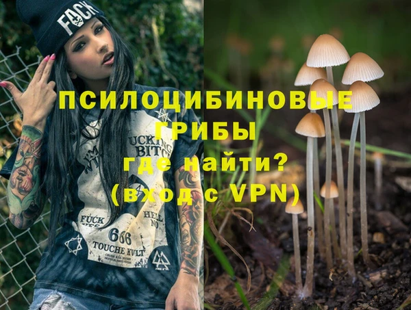 ALPHA-PVP Бородино