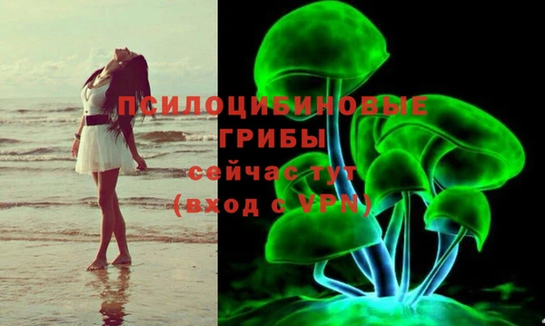 гидропоника Бугульма
